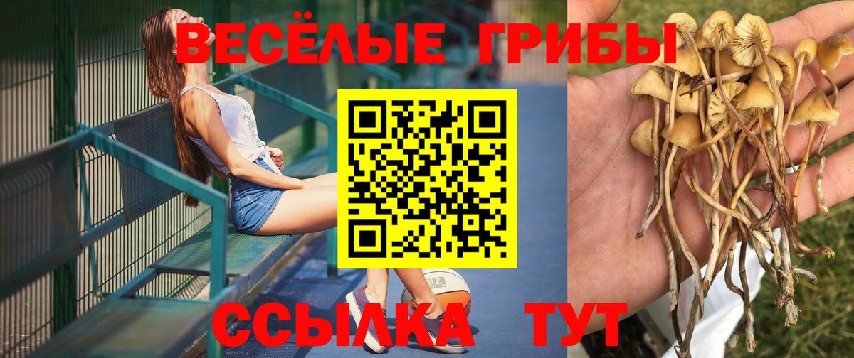 Северобайкальск  Галлюциногенные грибы мухоморы  Вход с VPN 