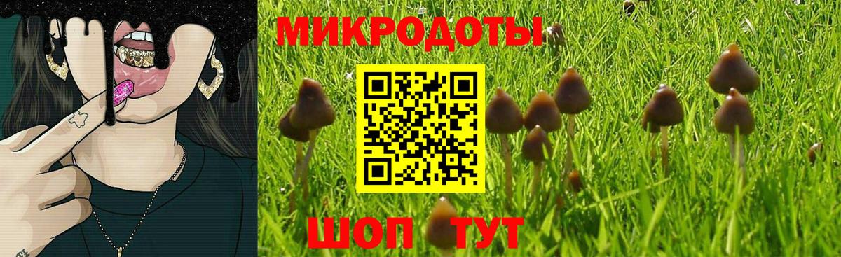 Галлюциногенные грибы мухоморы Северобайкальск